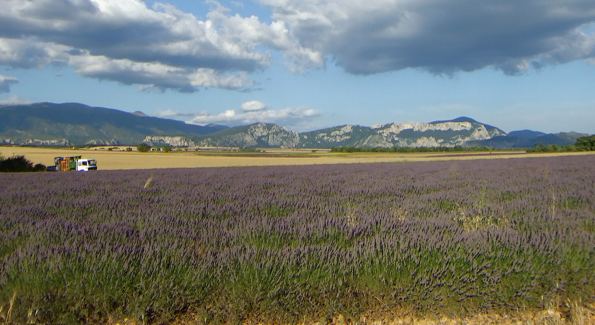 Nos apiculteurs, du littoral  a Haute-Provence
